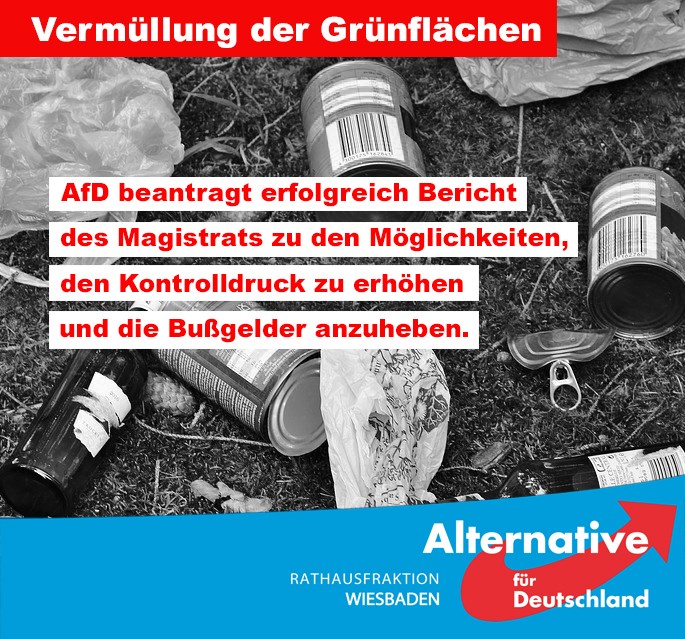 Vermüllung von Grünflächen