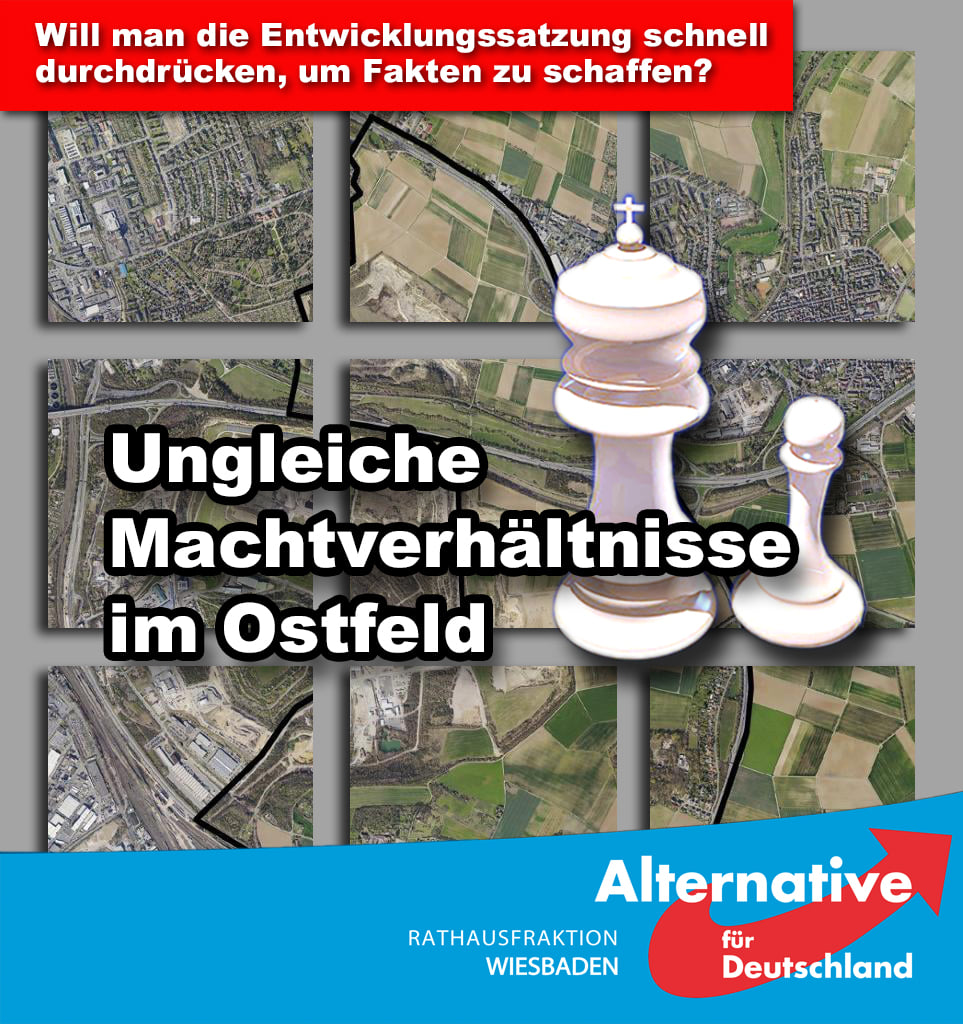 AfD Wiesbaden