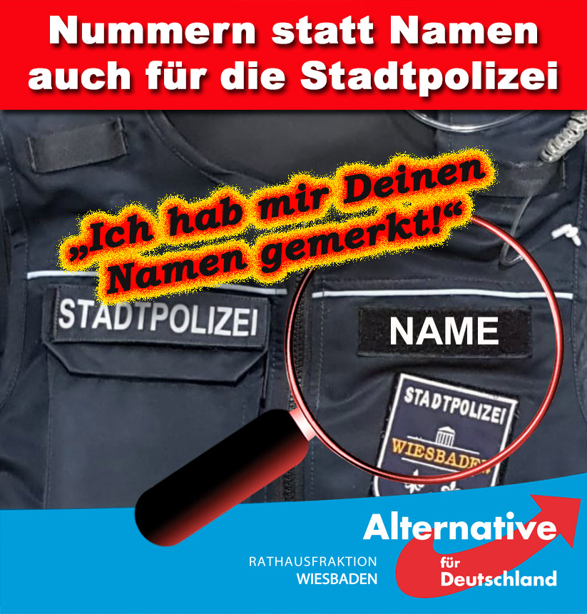 AfD Rathausfraktion Wiesbaden