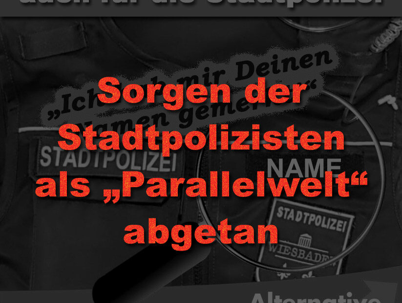 AfD Rathausfraktion Wiesbaden