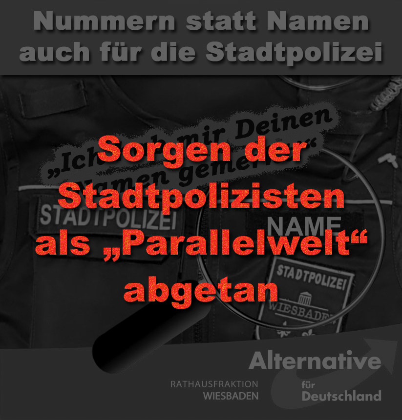 AfD Rathausfraktion Wiesbaden