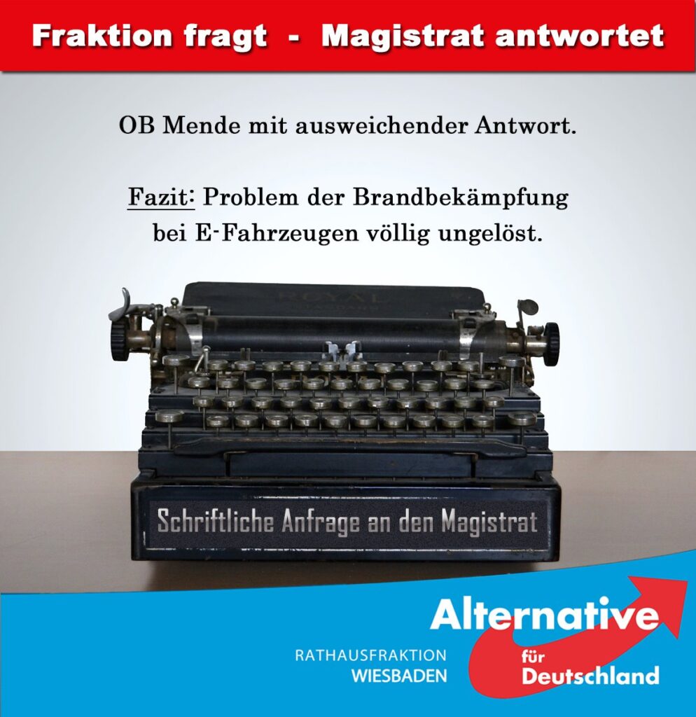 AfD Wiesbaden OB Mende