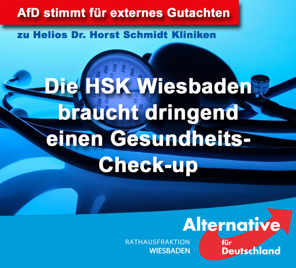 WIE STEHT ES WIRKLICH UM DIE HSK? AUCH DIE AFD STIMMT FÜR EIN EXTERNES GUTACHTEN