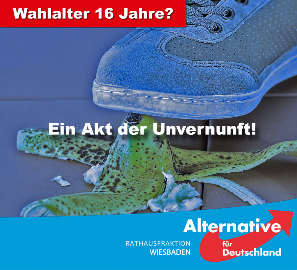 Wählen ab 16 Jahren?