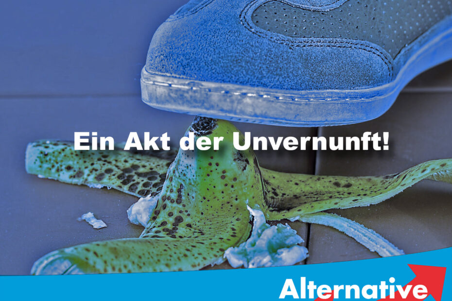 Wählen ab 16 Jahren?