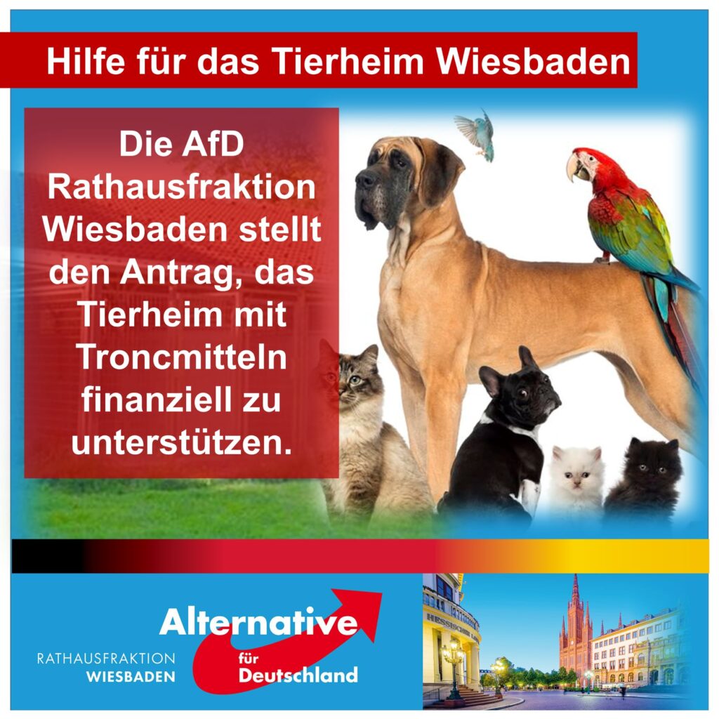 AfD hilft Tierheim Wiesbaden