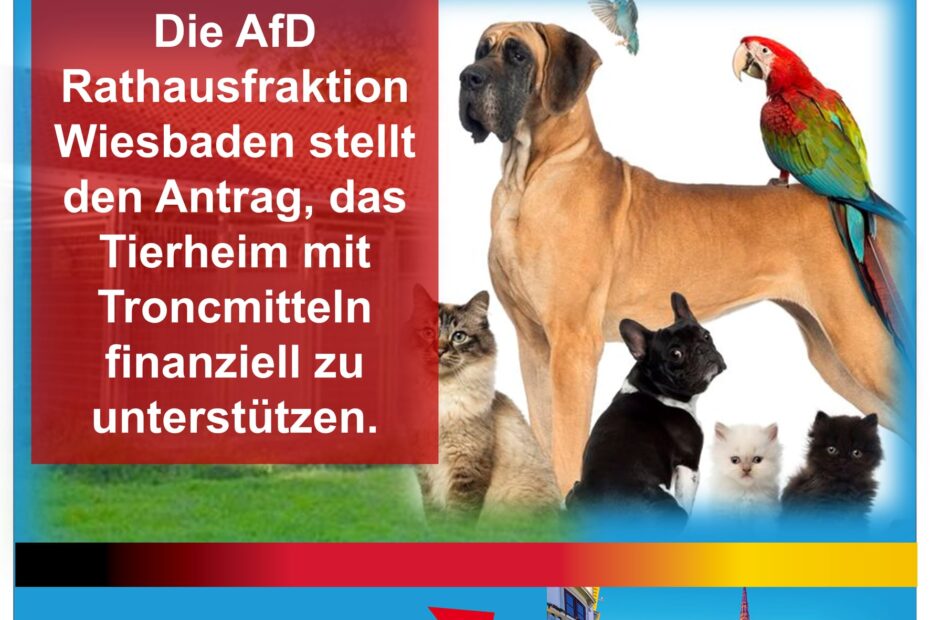 AfD hilft Tierheim Wiesbaden