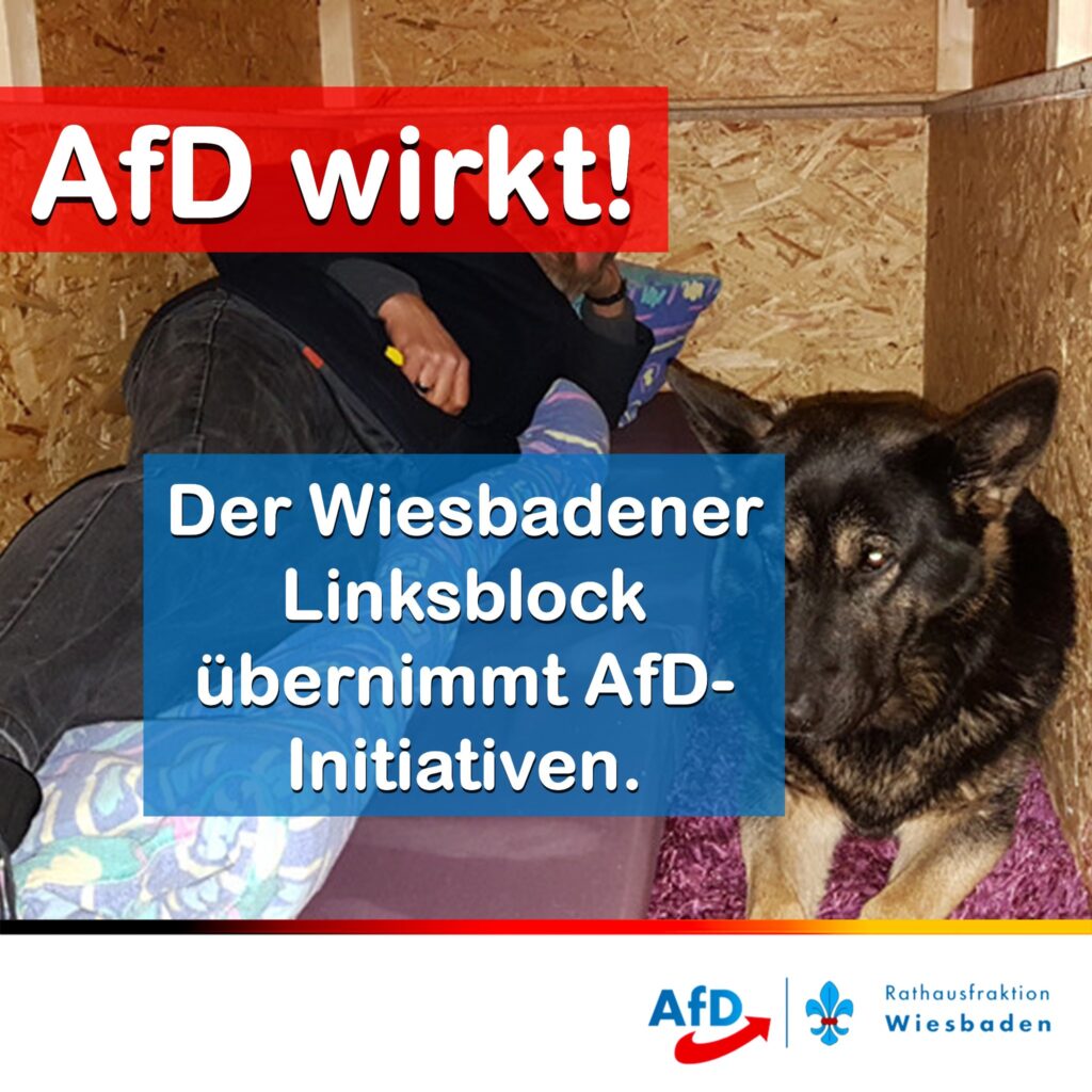 LINKSPARTEIEN ÜBERNEHMEN AFD-INITIATIVEN