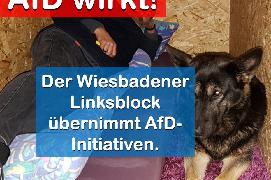 LINKSPARTEIEN ÜBERNEHMEN AFD-INITIATIVEN