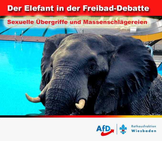 Die Freibadsaison und das Wegsehen im Frauenausschuss Wiesbaden