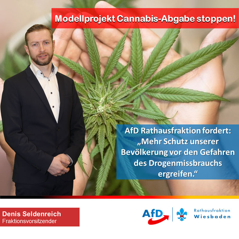 AfD Rathausfraktion gegen Kommunales Modellprojekt zur Cannabis-Abgabe über Apotheken