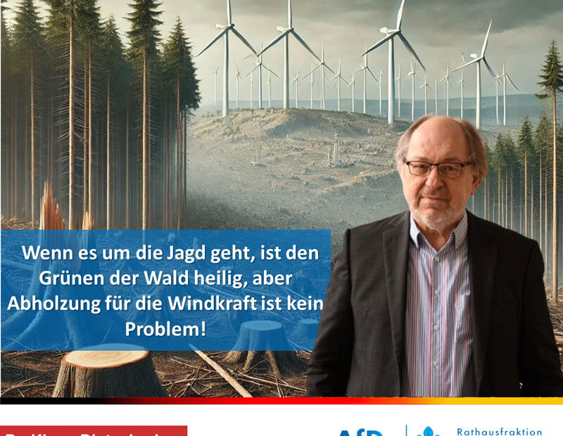 Grüne Heuchelei: Für die Jagd ist der Wald heilig, aber Windrad-Abholzung ist kein Problem