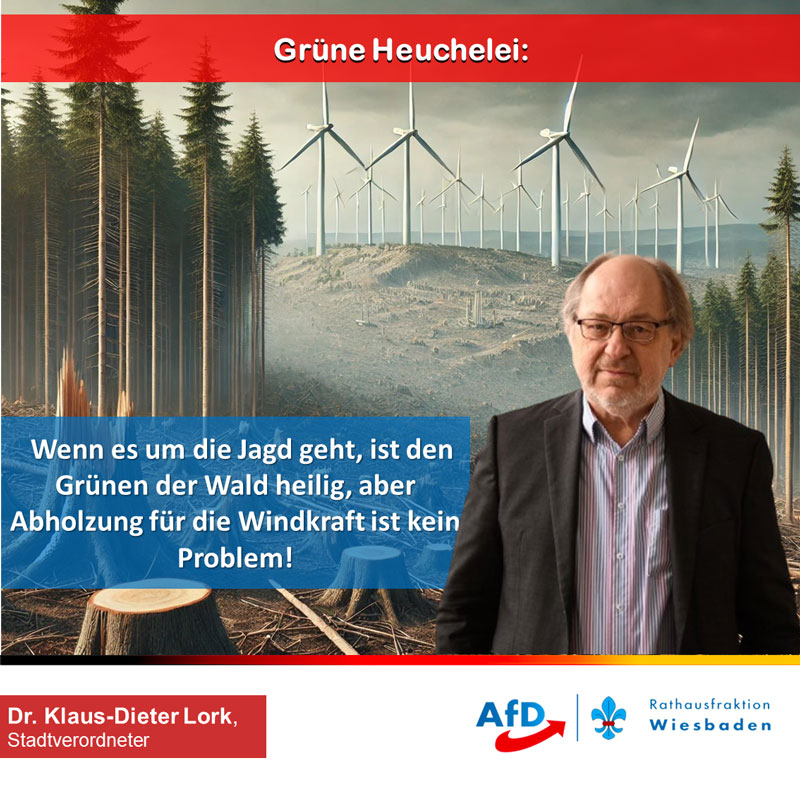 Grüne Heuchelei: Für die Jagd ist der Wald heilig, aber Windrad-Abholzung ist kein Problem